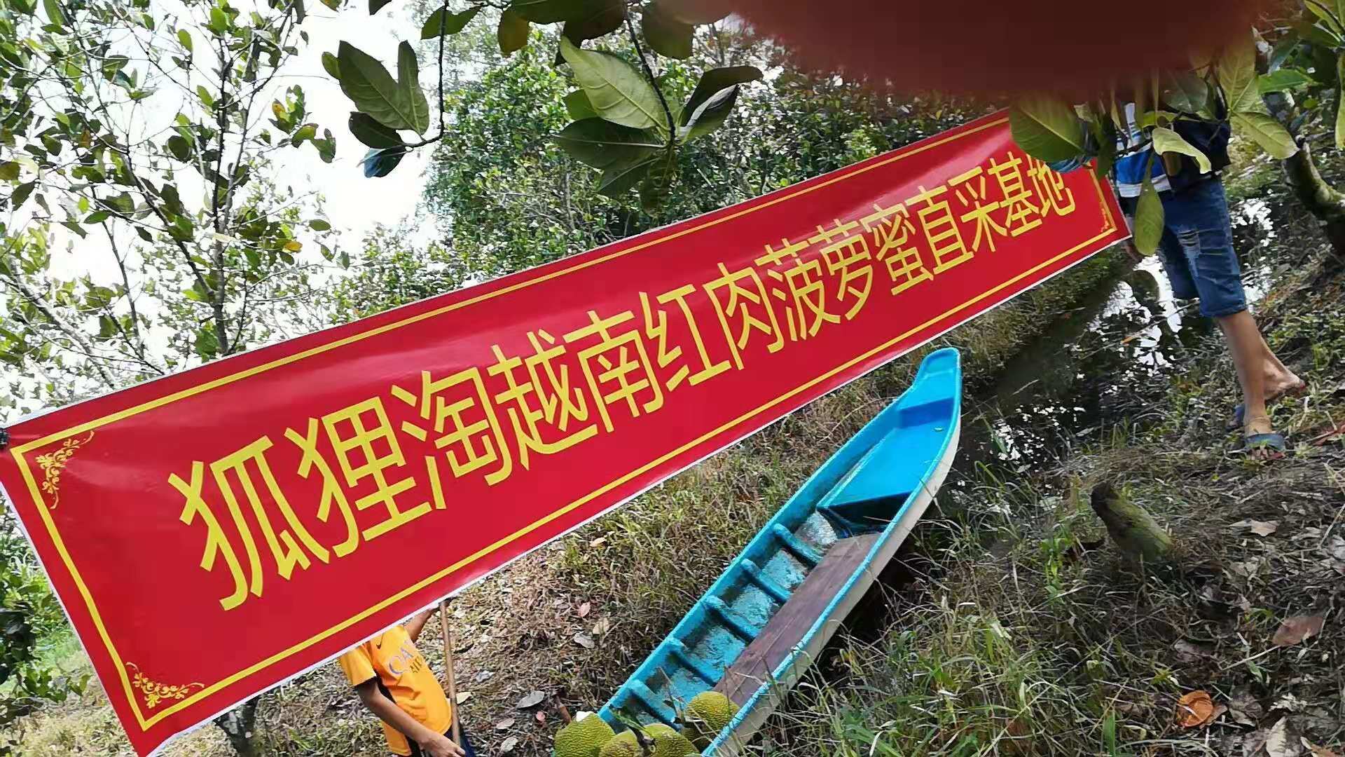 乐鱼体育产地展示